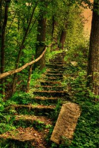 En chemin vers l'harmonie intérieure