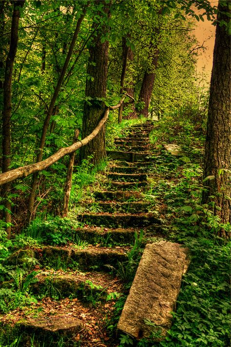 En chemin vers l'harmonie intérieure