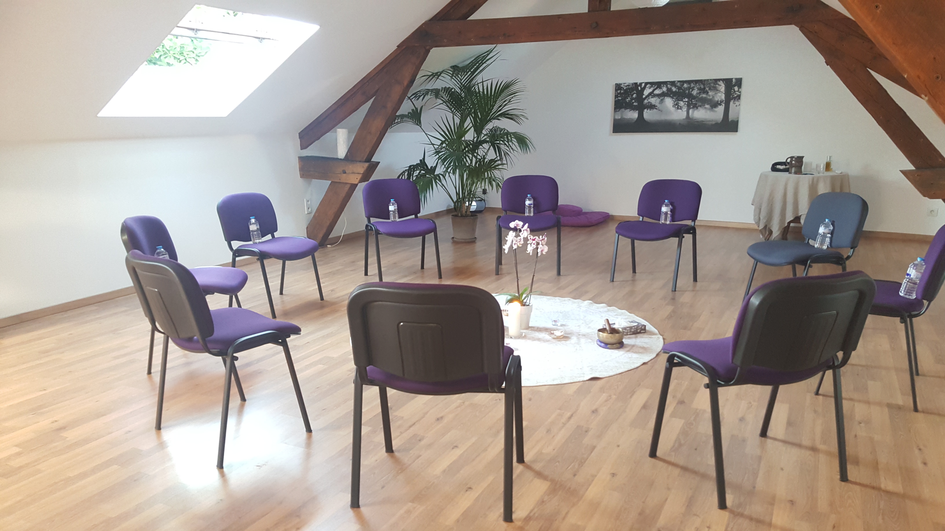 Formation Déployer sa vibration intérieure à Dijon