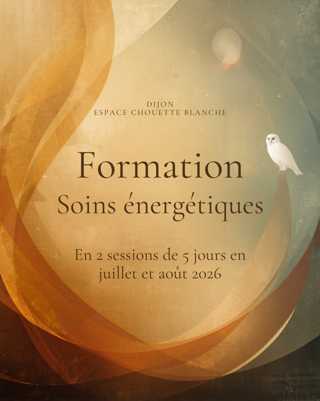 Formation en soins énergétiques à l'Espace de la Chouette Blanche à Dijon